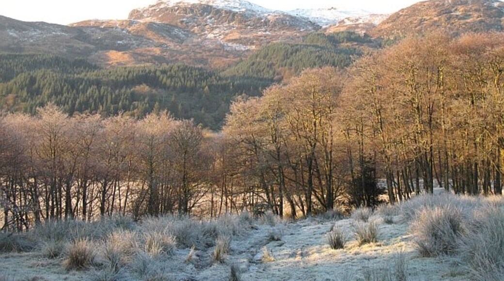 Photo "Auchenbreck" by Richard Webb (CC BY-SA) / Cropped from original