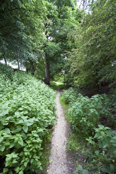 Foto “Hunsingore” tomada por Andrew Whale (CC BY-SA); recorte de la original