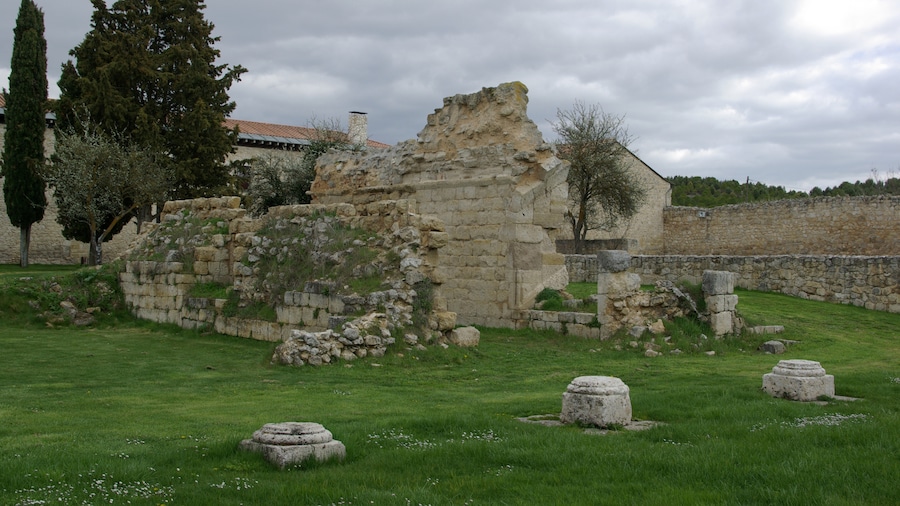 Photo "Cloister ruins of Saint Mary of Matallana monastery in Villalba de los Alcores (Valladolid, Spain)." by David Perez (Creative Commons Attribution 3.0) / Cropped from original