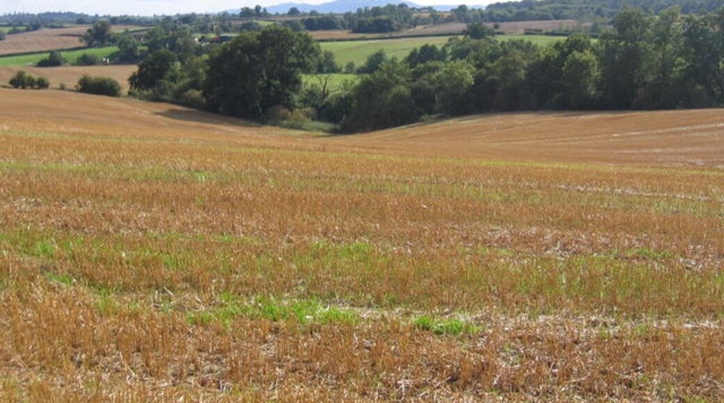 Foto “Westwood” tomada por David Stowell (CC BY-SA); recorte de la original