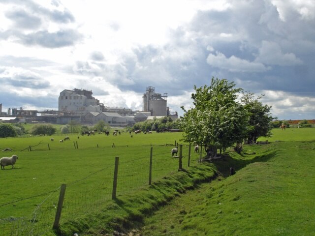 Agriculture and industry side-by-side Agriculture and industry side-by-side: view from Lostock Gralam footpath 2. Sheep grazing in the low-lying meadows with Lostock chloralkali works in the background. From this angle, the Trent & Mersey Canal, shown in 37264, lies just in front of the works.