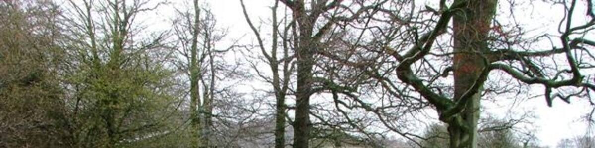 Photo "Wellhill Farm Approaching the farm from along the Public Footpath from the south west." by Mick Garratt (Creative Commons Attribution-Share Alike 2.0) / Cropped from original