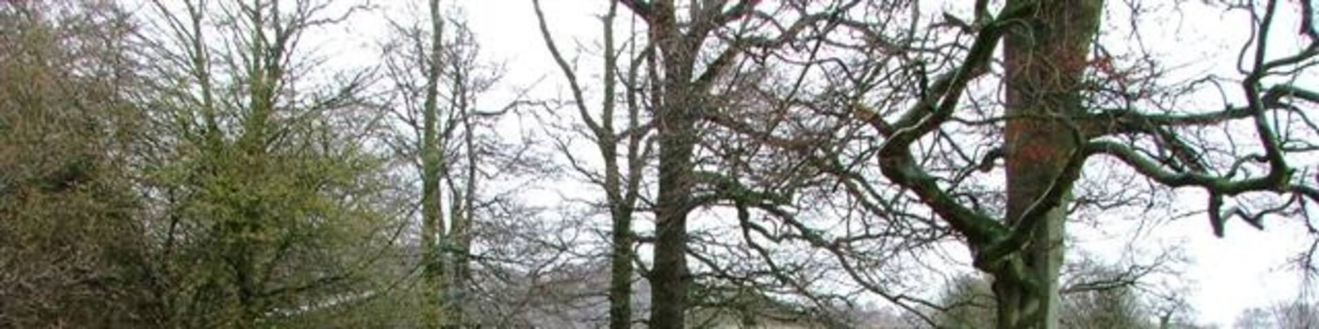 Wellhill Farm Approaching the farm from along the Public Footpath from the south west.