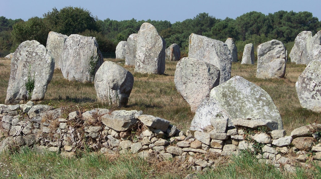 « Menhirs de Carnac», photo de Farz brujunet (page does not exist) (CC BY-SA) / rognée de l’originale