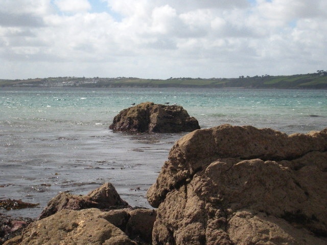 Rocks at the east end of Carne beach Occupied by a couple of oyster catchers and a common gull.