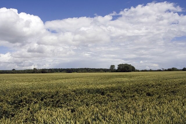 Foto “Ryther con Ossendyke” tomada por Andrew Whale (CC BY-SA); recorte de la original