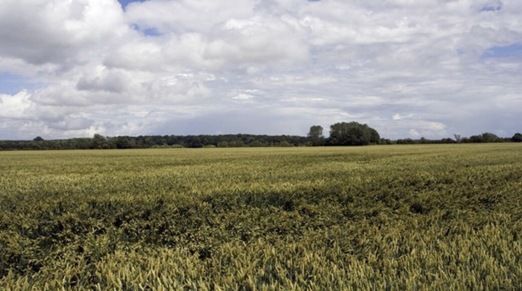 Foto “Ryther con Ossendyke” tomada por Andrew Whale (CC BY-SA); recorte de la original