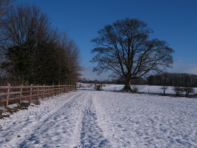 Photo "Cundall with Leckby" by Gordon Hatton (CC BY-SA) / Cropped from original