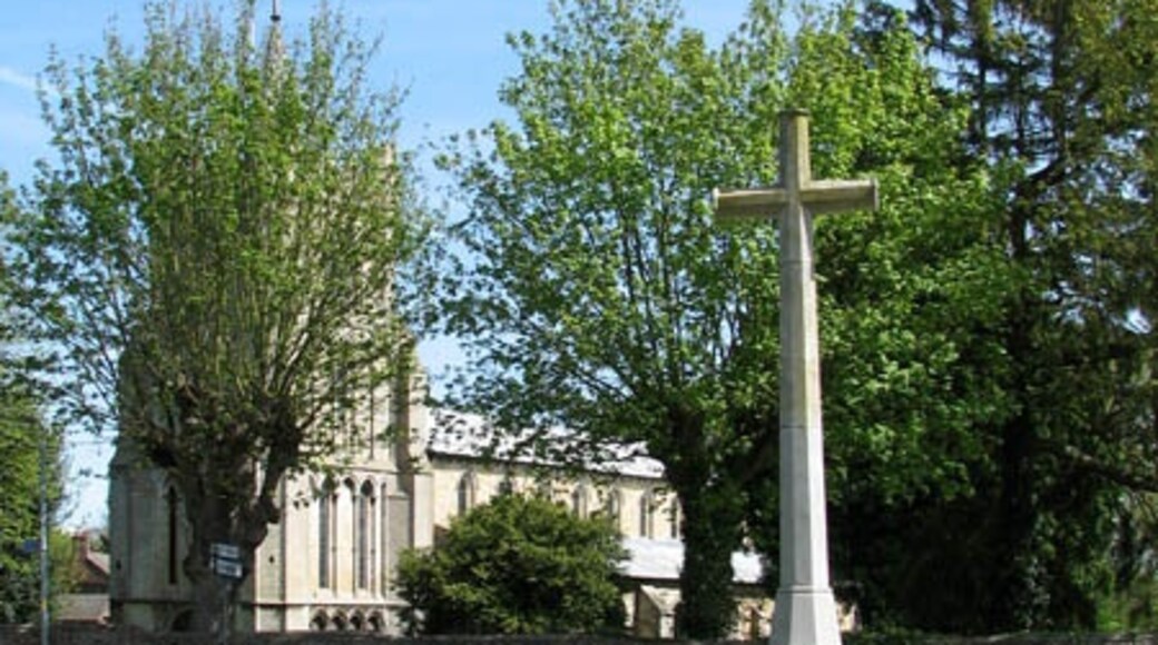 Kuva ”Elm” käyttäjältä Evelyn Simak (CC BY-SA) / rajattu alkuperäisestä kuvasta