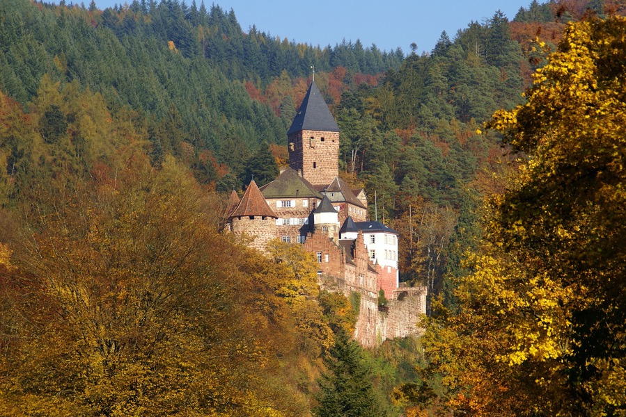 Schloss Zwingenberg 10/2010