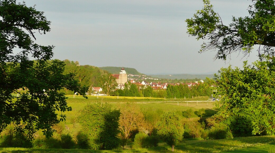 Photo "Kuppingen" by qwesy qwesy (CC BY) / Cropped from original