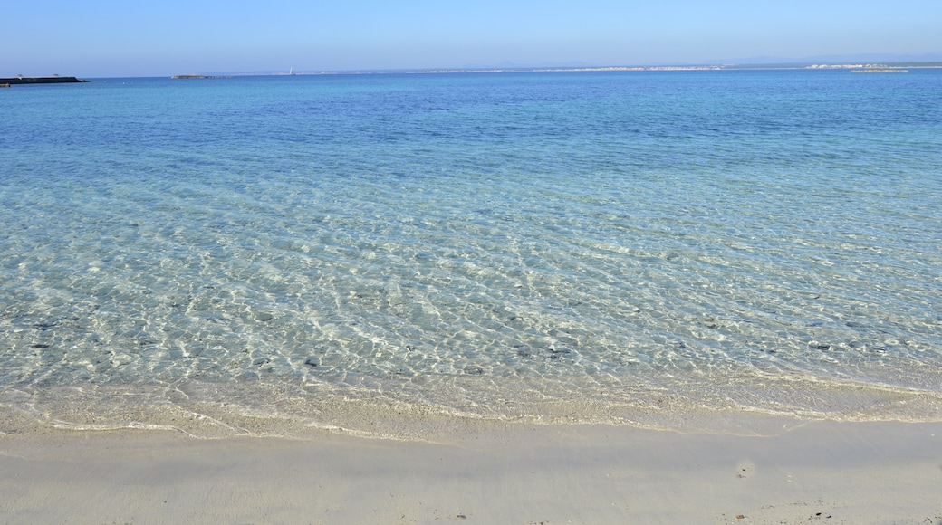 « Playa D'es Moli de S'Estany», photo de mateu mulet (CC BY) / rognée de l’originale