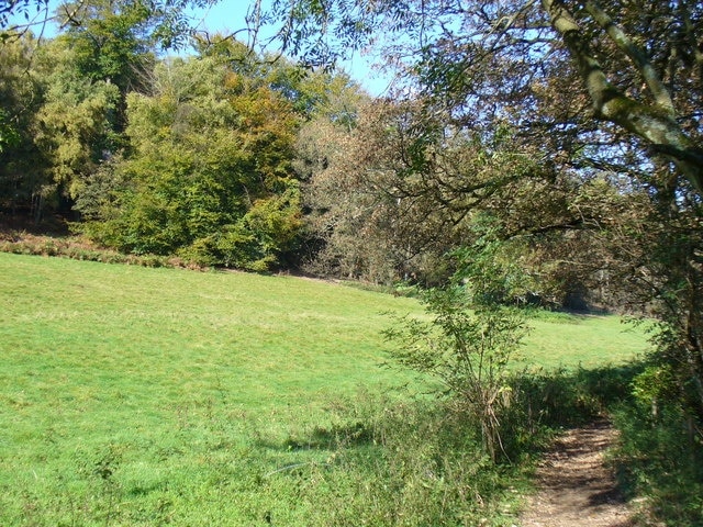 Field by Rookery Wood The wood lies at the far side of this grassy meadow. To the right of the bridleway, the thickly wooded ground slopes steeply down to the bottom of the Pipp Brook valley.