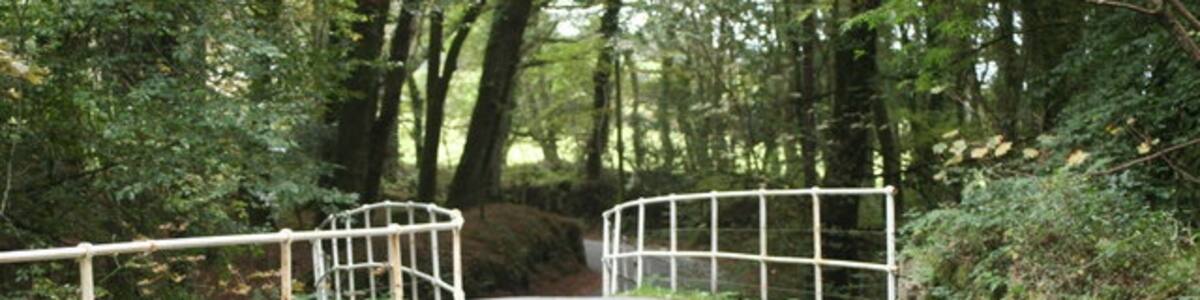 Photo "Bridge over the Warleggan River On the road between Warleggan and Mount." by Rod Allday (Creative Commons Attribution-Share Alike 2.0) / Cropped from original