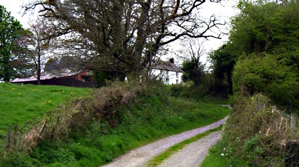 Photo "Llanpumsaint" by Dara Jasumani (CC BY-SA) / Cropped from original