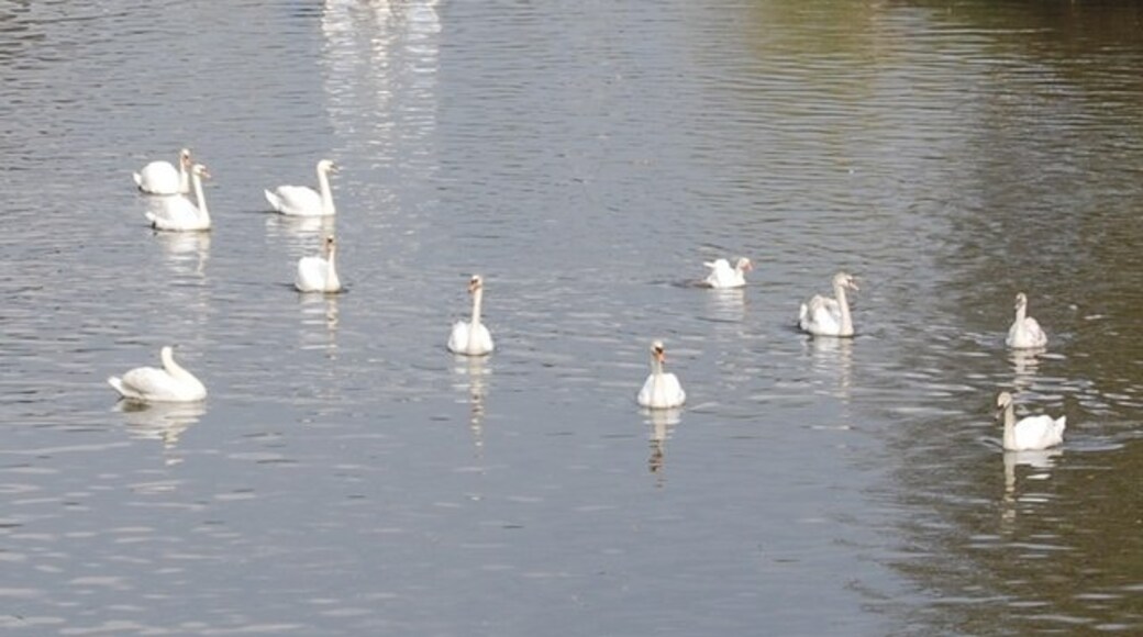 Photo "West Farleigh" by Nigel Chadwick (CC BY-SA) / Cropped from original