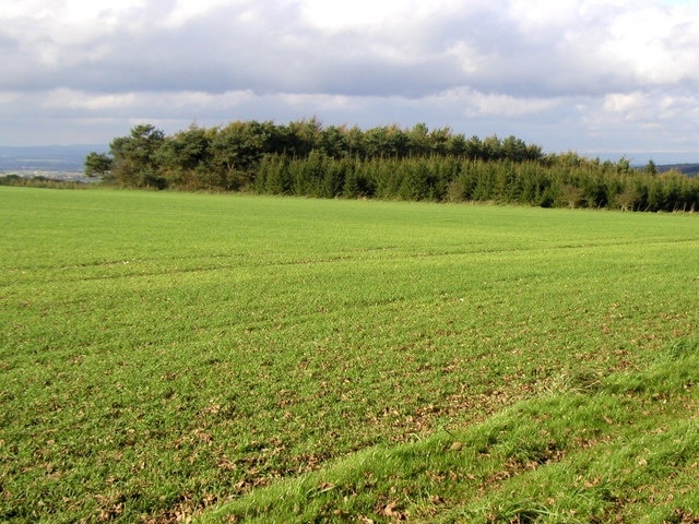 Photo "Kirby Underdale" by Andy Beecroft (CC BY-SA) / Cropped from original