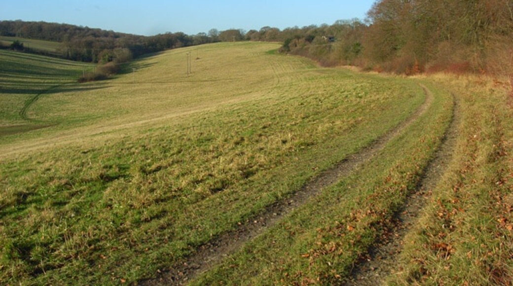 Billede "Chartridge" af Andrew Smith (CC BY-SA) / beskåret fra det originale billede