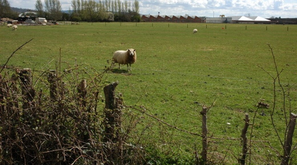 Foto "Ashchurch Rural" de Philip Halling (CC BY-SA) / Recortada do original