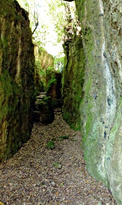 La tagliata etrusca per Caere detta "Il Cavone" a Monterano