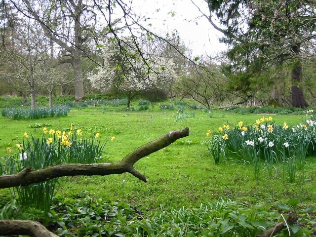 Photo "Preston" by Paul Dixon (CC BY-SA) / Cropped from original