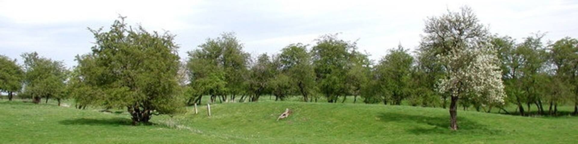 East of Kirkburn, East Riding of Yorkshire, England. Looking east-northeast along the public footpath from Battleburn to the site of the medieval village of Eastburn.