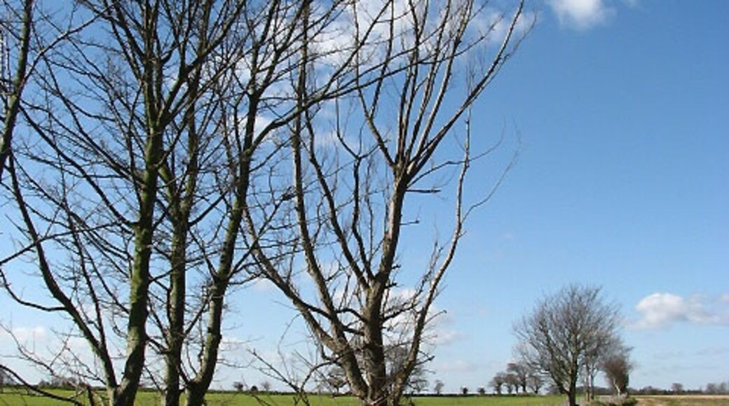 Photo "Antingham" by Evelyn Simak (CC BY-SA) / Cropped from original