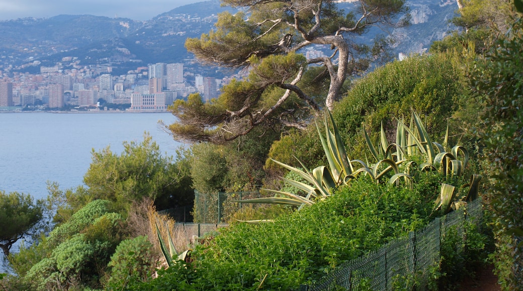 Photo "Cap-Ferrat" by villlamania (CC BY) / Cropped from original
