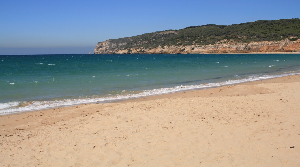 Photo "Playa de la Yerbabuena" by Cayetano Roso (CC BY) / Cropped from original