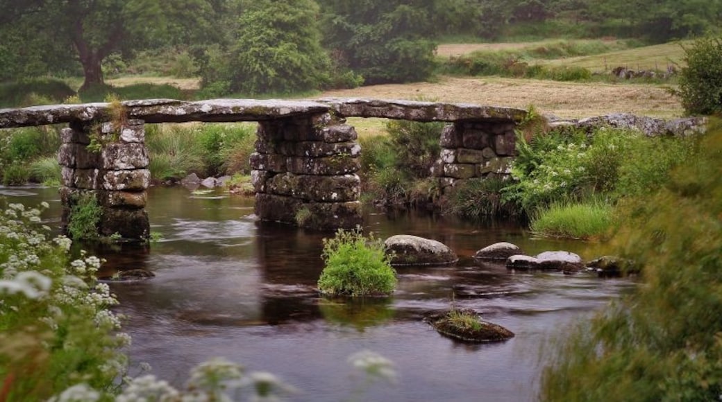 Foto "Puente de losas de piedra" por Mark Robinson (CC BY) / Recortada de la original