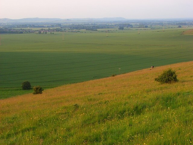 Photo "Chirton" by Andrew Smith (CC BY-SA) / Cropped from original