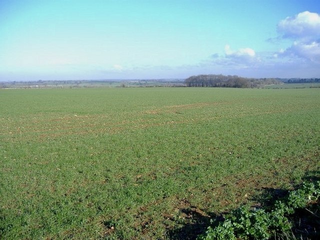 A very large field Adjacent to the A46, from Bath to Gloucester.