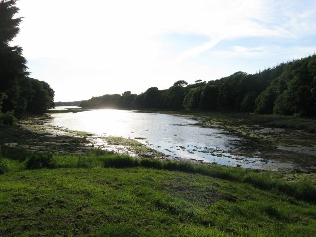 Cosheston Pill in the evening (Taken 7.30pm.)