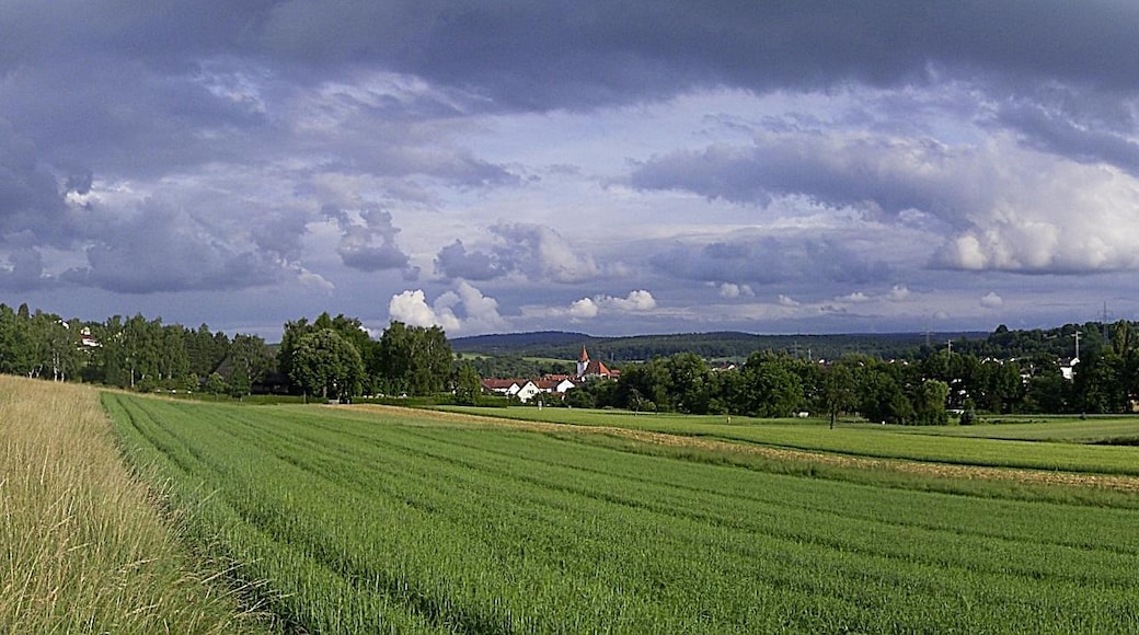 Photo "Ellmendingen" by Augenstein (CC BY-SA) / Cropped from original
