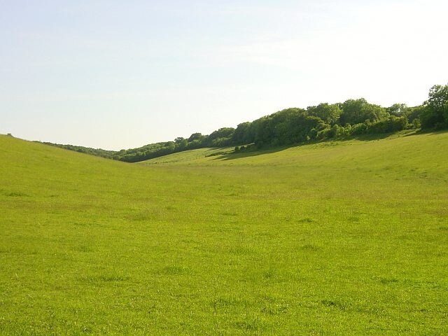 Photo "Frinsted" by Penny Mayes (CC BY-SA) / Cropped from original