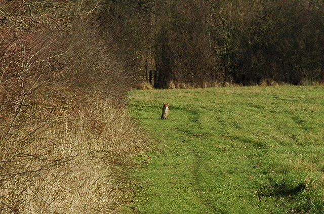 Photo "Cotheridge" by Philip Halling (CC BY-SA) / Cropped from original