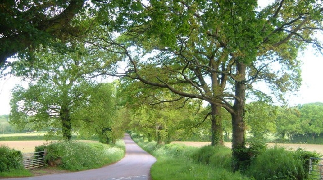 Foto “West Hill” tomada por Derek Harper (CC BY-SA); recorte de la original