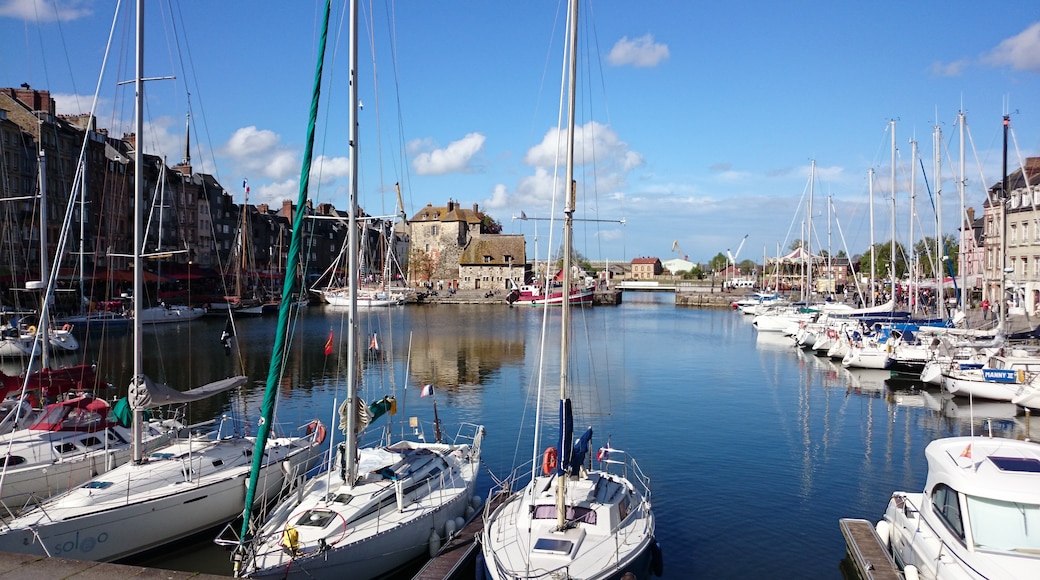 Photo "Old Harbor of Honfleur" by Sébastien Carlier (CC BY) / Cropped from original