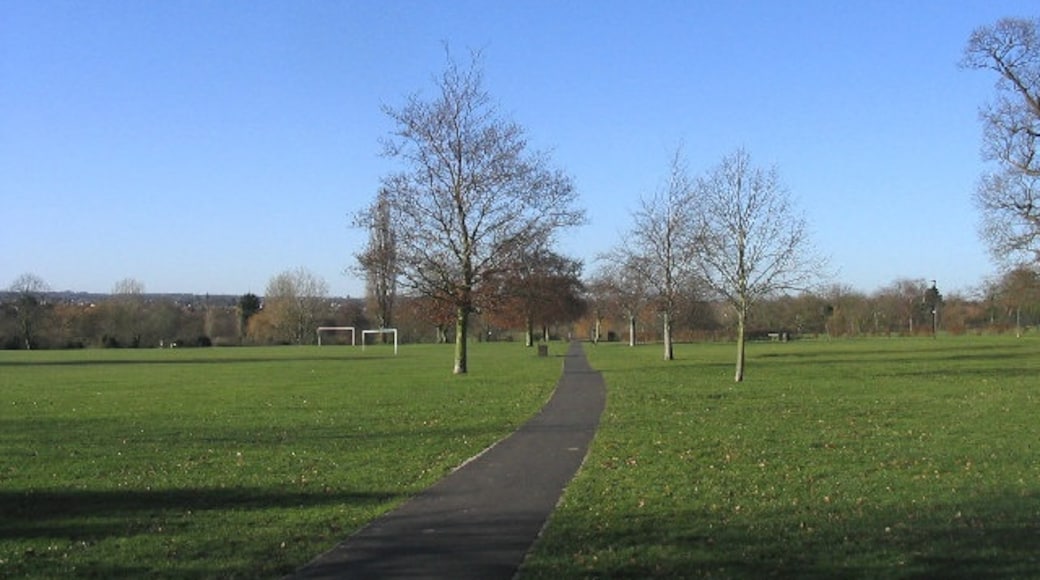 Photo "Admirals Park LNR" by John Winfield (CC BY-SA) / Cropped from original