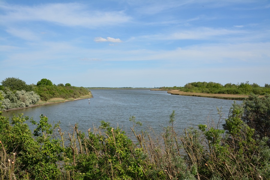 This is a picture of the protected area listed at WDPA under the ID