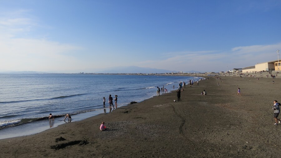Photo "Shonan Kaigan Park http://ja.wikipedia.org/wiki/湘南海岸公園_(藤沢市)" by Bnhsu (page does not exist) (Creative Commons Attribution-Share Alike 3.0) / Cropped from original