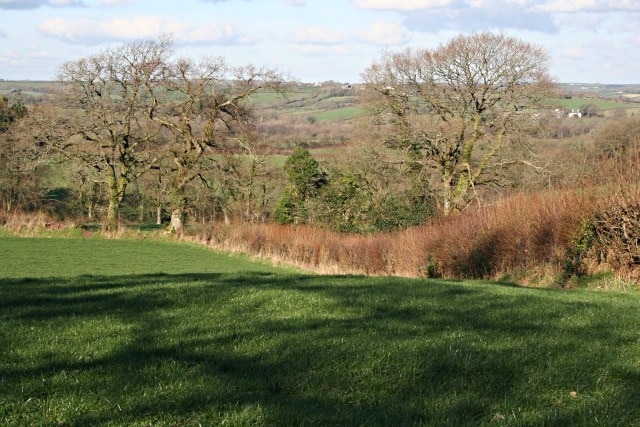 Pasture near Little Athill