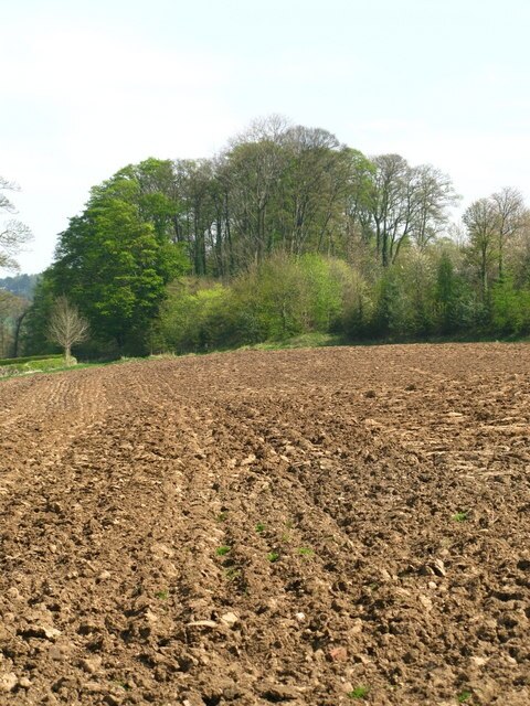Foto „South Stainley mit Cayton“ von David Rogers (CC BY-SA)/zugeschnittenes Original