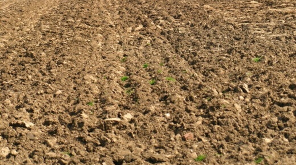 Foto „South Stainley mit Cayton“ von David Rogers (CC BY-SA)/zugeschnittenes Original