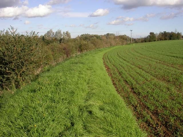 Route between Ditchford Road and Sanders Lodge The waymarked footpath is a narrow track between two hedges seen on the left of the image but it is overgrown to the extent of being impassable.