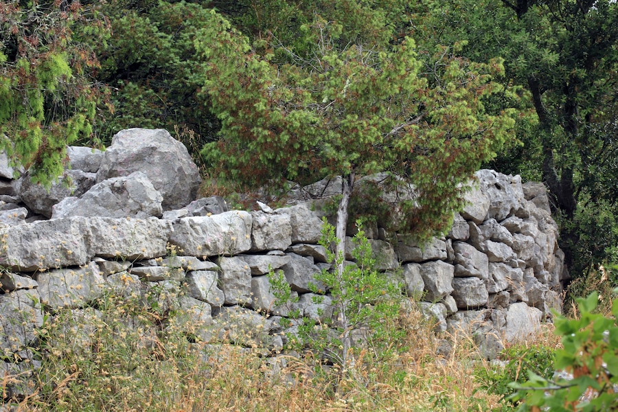 An ancient mule track bordered by a dry stone wall.