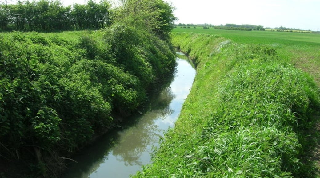 Foto “Atwick” tomada por JThomas (CC BY-SA); recorte de la original