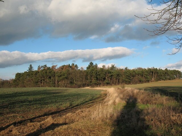 Photo "Thirn" by Gordon Hatton (CC BY-SA) / Cropped from original