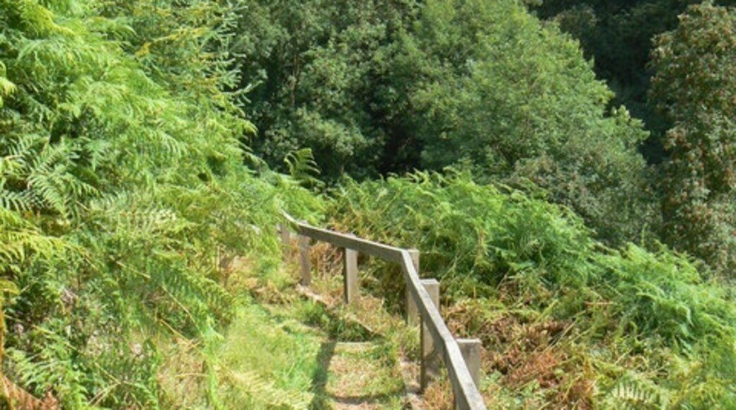 "Ebberston och Yedingham"-foto av bernard bradley (CC BY-SA) / Urklipp från original