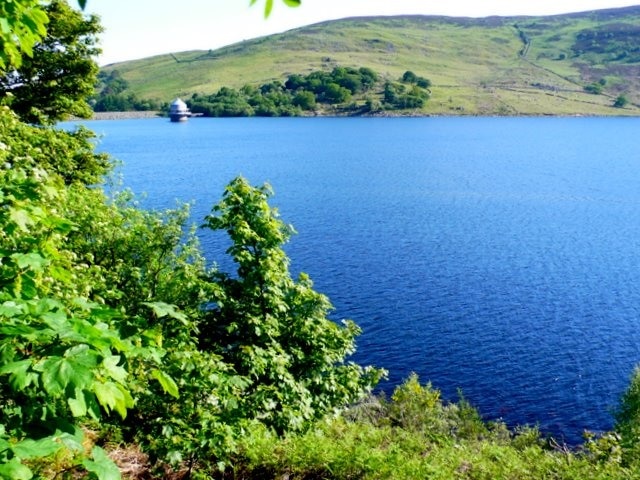 Llyn Celyn Reservoir View south towards the dam from the north side of the reservoir just below Moel Phylip